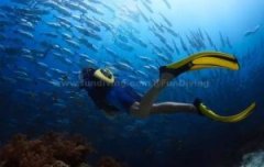 SUBBE:����ˮ�º���ϵͳ